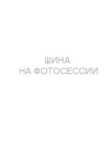 Шины Tunga 175/65R14 82Q Nordway 3 TL (110 шип.) Шины Tunga 175/65R14 82Q Nordway 3 TL (110 шип.)